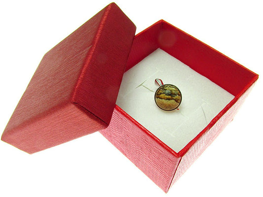 Pandantiv argint cu jasp Picture natural10 MM - GlamBazaar.ro